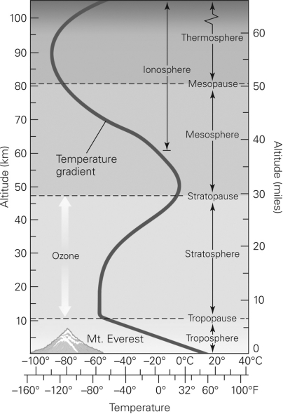<strong>In which layer in the figure below will the temperature steadily increase as you move to higher altitudes? </strong> A) the troposphere B) the stratosphere C) the mesosphere D) the thermosphere