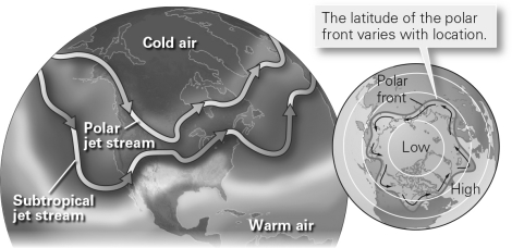 <strong>In global convective circulation,air sinks at the ________ and the ________. </strong> A) equator; poles B) equator; polar fronts C) horse latitudes; poles D) horse latitudes; polar fronts