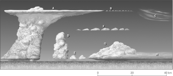Label the cloud types in the images below using the word bank provided. cumulonimbus cumulus congestus stratus cirrocumulus cirrus altocumulus cumulus nimbostratus