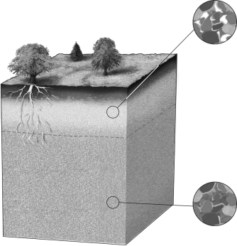Label the three zones that water moves through as it percolates into the Earth on the image below.Also include where the water table is by marking it with an arrow.