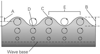 <strong>In the figure below,which letters represent the crest and trough? </strong> A) A and B B) E and D C) C and D D) C and B