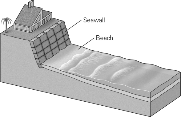 <strong>Notice the newly constructed seawall in the illustration below.The most likely outcome of its construction is that the seawall will __________. </strong> A) permanently protect the home from beach erosion B) increase sediment production on the beach,decreasing the rate of erosion C) deter biological activity that might compromise the integrity of the cliff D) temporarily protect the cliff from beach erosion
