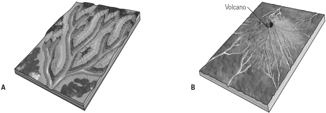 Contrast the drainage patterns in the illustrations below.Why do they differ in appearance?