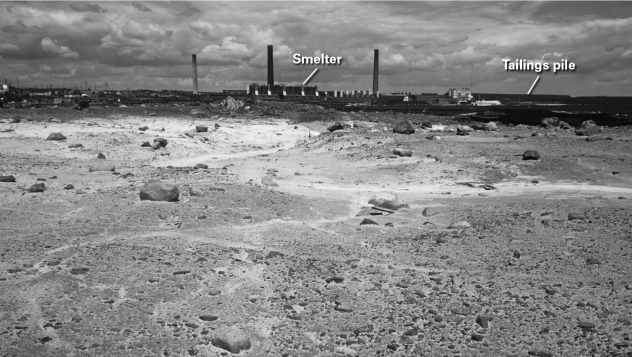 Examine the photograph below taken near Sudbury,Ontario.Why is this region devoid of vegetation?