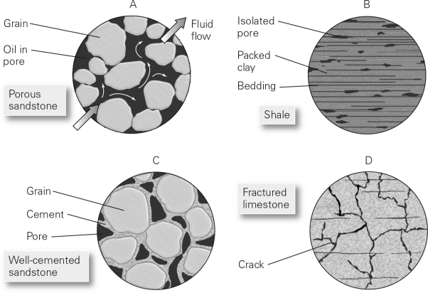 <strong>Which of the following would make the best reservoir rock in a conventional hydrocarbon system? </strong> A) A B) B C) C D) D