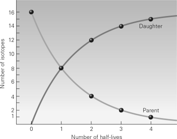 <strong>In an unweathered sample of igneous rock,the ratio of an unstable isotope to its stable daughter isotope is 1:15.If no daughters were present at the time the rock cooled below closure temperature,and the half-life of the isotope is 50 million years,how old is the rock? </strong> A) 200 million years B) 400 million years C) 750 million years D) 1 billion years