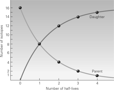 <strong>Referring to the graph below,after one half-life has passed,what is the ratio of parent isotopes to daughter isotopes? </strong> A) 16:0 B) 8:8 C) 4:12 D) 2:16