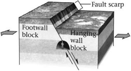 <strong>During an earthquake,if a footwall slides upward relative to a hanging wall (as shown in the figure below),the fault is termed a ________ fault. </strong> A) normal B) reverse C) strike-slip D) thrust