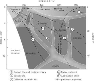 <strong>Consult the figure below.Compared with amphibolite metamorphic facies,greenschist facies </strong> A) consist of lower-grade rocks. B) consist of higher-grade rocks. C) involve partially melted rocks. D) have the same grade but a different chemistry due to different protoliths.