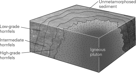 <strong>Consult the figure below.The region of thermally metamorphosed rock surrounding a cooled pluton is called a (n) </strong> A) shear zone. B) aureole. C) oriole. D) metamorphic ring.