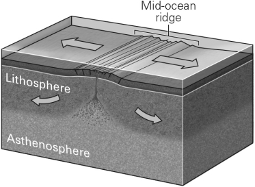 <strong>Which basic type of plate boundary is shown in the image below? </strong> A) Divergent B) Convergent C) Transvergent D) Transform
