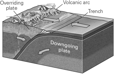 <strong>Which basic type of plate boundary is shown in the image below? </strong> A) Divergent B) Convergent C) Transvergent D) Transform