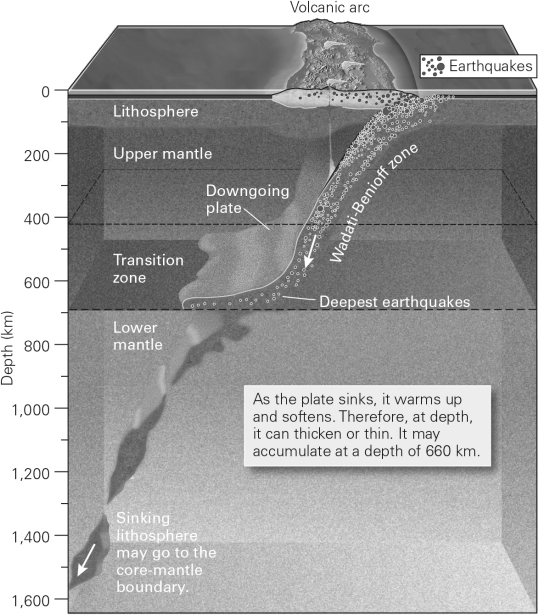 <strong>The image below shows a cross-sectional view of a typical subduction zone,with earthquake locations shown with small dots.The band of earthquakes that follows the shape of the downgoing plate is termed the ________ zone. </strong> A) transform fault B) collisional C) Wegener D) Wadati-Benioff