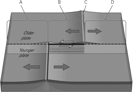 <strong>The image below shows a view of a typical segmented mid-ocean ridge.Which letter below marks the location of the active transform fault? </strong> A) A B) B C) C D) D