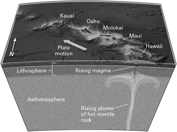 <strong>Consult the figure below.Hawaii is an example of </strong> A) hot-spot volcanism. B) mid-ocean ridge volcanism. C) volcanic island arc formed by subduction. D) volcanic continental arc formed by subduction.