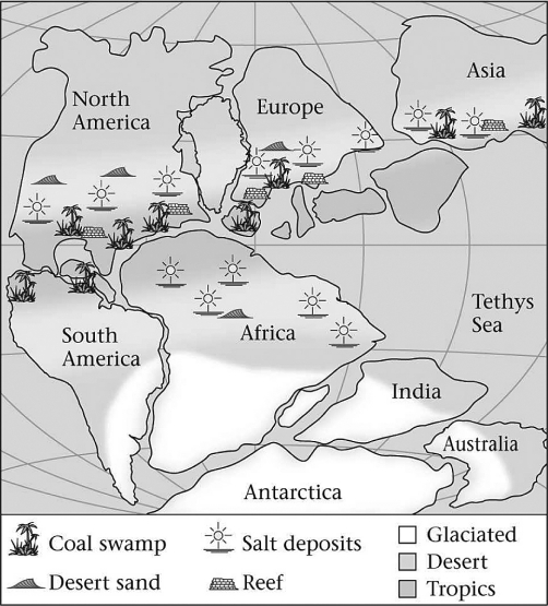<strong>Consult the figure below.Abundant swamps led to the formation of coal during the Late Paleozoic in which of the following places? </strong> A) India B) Southern Africa C) North America D) Antarctica