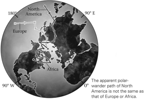 <strong>The discovery that each continent had different and separate apparent polar-wander paths,such as those in the figure below,proved that </strong> A) the continents move. B) the poles move. C) both the poles and continents move,but only one at a time. D) both the poles and continents move,and do so together.