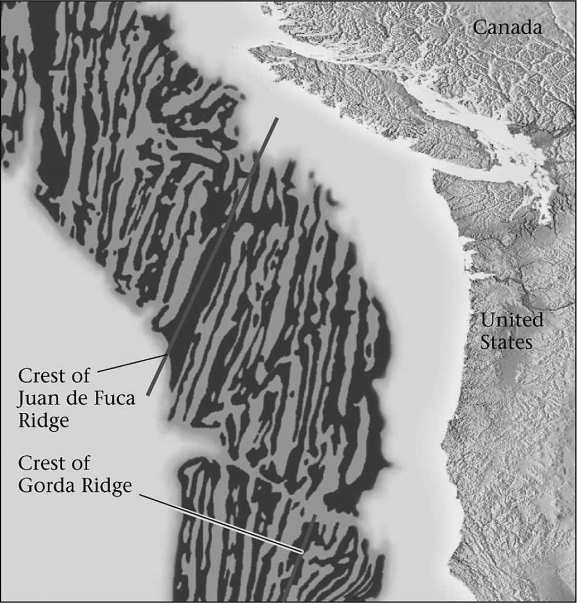 <strong>According to the figure below,marine magnetic anomalies lay roughly ________ to mid-ocean ridges. </strong> A) perpendicular B) parallel C) adjacent D) at an obtuse angle