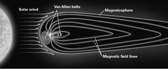 <strong>The following image shows the Earth's magnetic field.The Earth's magnetic field lines are distorted (i.e.,not symmetrical)because </strong> A) the Earth is rapidly rotating around the Sun. B) the Earth is rotating on an internal axis. C) convection is occurring in the outer core D) solar wind deflects the Earth's magnetic field lines.