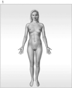 <strong> Figure 1-1 The Organ Systems of the Human Body Use Figure 1-1 to answer the following questions: What is/are the function(s)of the organ system labeled #3?</strong> A) help control body temperature B) provides support; produces heat C) provides support; protects tissues; stores minerals D) directs immediate responses to stimuli E) defends against infection and disease