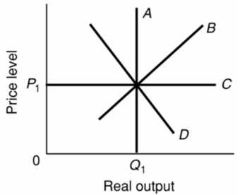 <strong>  Refer to the above diagram.If the price level rises above P<sub>1</sub> because of an increase in aggregate demand, the:</strong> A)economy will move up along curve B and output will temporarily increase. B)long-run aggregate supply curve C will shift upward. C)short-run aggregate supply curve B will automatically shift to the right. D)economy's output first will decline, then increase, and finally return to Q<sub>1</sub>. <div style=padding-top: 35px> 