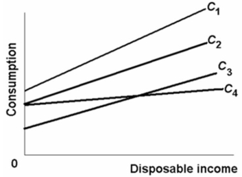Refer to the consumption schedules shown in the above diagram for economies 1, 2, 3, and 4.The MPC is greatest in economy: