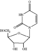 <strong>Which of the following is uridine? A B C D </strong> A) A B) B C) C D) D