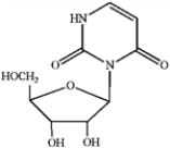 <strong>Which of the following is uridine? A B C D </strong> A) A B) B C) C D) D