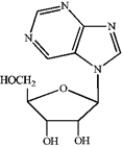 <strong>Which of the following is deoxyadenosine? A B C D </strong> A) A B) B C) C D) D