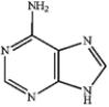 <strong>Which of the following is deoxyadenosine? A B C D </strong> A) A B) B C) C D) D