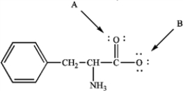 Phenylalanine is an amino acid that is essential to human nutrition. The representation below shows the structure of phenylalanine at the pH found in cells. Consider this structure to answer the following question(s). phenylalanine Refer to instructions. Assign any formal charges to atoms in this representation of phenylalanine.
