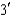 <strong>Given a DNA sequence of -CAT- ,what is the complementary sequence in mRNA?</strong> A) -GUA- B) -AUG- C) -GUA- D) -GTA-