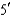 <strong>By convention,nucleic acid chains are written starting at the __________ end.</strong> A) amino B) carboxyl C) D)