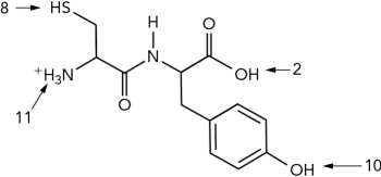 <strong>What is the pI of the dipeptide shown? (Use the pK as given.) </strong> A) 0 B) 5 C) 9 D) 10.5