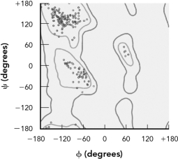 Use the theoretical Ramachandran plot at the top to evaluate the two experimental plots on the bottom.Describe the likely secondary structures found in each experimental plot.