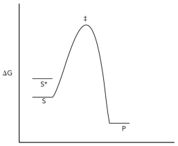 Consider the reaction coordinate diagram shown below for the conversion of substrate (S)to product (P).Assume that a hypothetical enzyme is added that destabilizes the substrate (S)so that it has the free energy of S*,but otherwise the reaction is the same (in other words,it still goes through the transition state indicated in the diagram).Justify why the hypothetical enzyme is a catalyst.