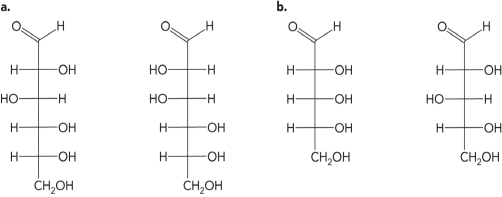 <strong>What is the relationship between the molecules in the figure below? </strong> A) They are isomers. B) They are anomers. C) They are epimers. D) They are identical.