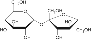 <strong>In the following figure,what is the linkage between the two monosaccharide units and is this a reducing sugar? </strong> A) 1 2, nonreducing B) 1 1, nonreducing C) 1 2, reducing D) 1 2, reducing