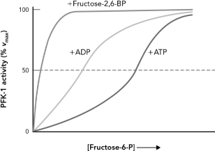Using the figure below,discuss how ATP,ADP,AMP,and fructose-2,6-BP are an allosteric regulator of phosphofructokinase-1.