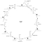 Identify the E2 subunit in the reaction schematic of the pyruvate dehydrogenase reaction below.