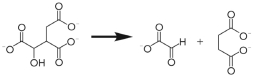 <strong>The glyoxylate cycle reaction shown below is catalyzed by which enzyme class? </strong> A) lyase B) hydrolase C) transferase D) oxidoreductase