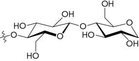 <strong>The image below shows a(n)__________ glycosidic bond. </strong> A) -1,4- B) -1,4- C) -1,6- D) -1,6-