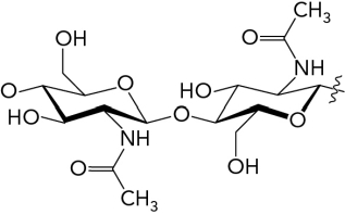 The image below shows a(n)__________ glycosidic bond.  
