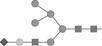 <strong>The glycan fragment shown below on the right has been cleaved by glycosylase enzymes and HPLC analysis has produced the peaks 1 to 6.Which of the following fragments corresponds to peak 1? </strong> A) B) C) D)