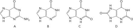 <strong>Which of the following is an intermediate in the conversion of AMP to uric acid but NOT an intermediate in the conversion of GMP to uric acid? </strong> A) A B) B C) C D) D