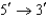 <strong>All DNA is synthesized in which direction?</strong> A)   B)   C)   D)   <div style=padding-top: 35px> 
