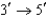 <strong>All DNA is synthesized in which direction?</strong> A)   B)   C)   D)   <div style=padding-top: 35px> 