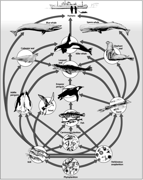   -What is depicted in this image?