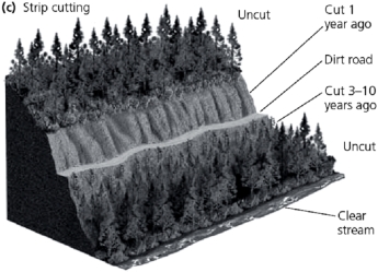 -Name the type of harvesting method that has been employed in the area shown in the figure.