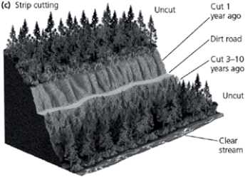 Critical Thinking Building the dirt road in the accompanying figure could be seen by some as a benefit. List three potential benefits building a dirt road in an area such as this.